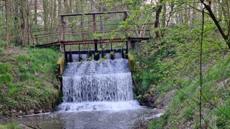OB 22. APRILU – SVETOVNEM DNEVU ZEMLJE 5